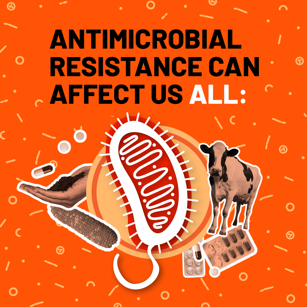 World Antimicrobial Awareness Week Global Collaborations and